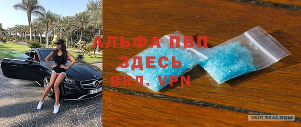гидра Алексин