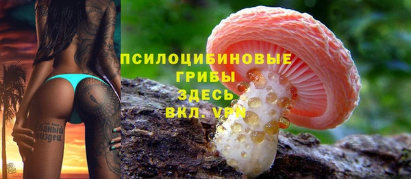 гидра Алексин