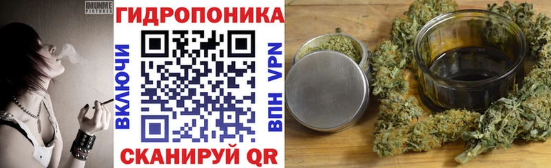 Каннабис план  Боровичи 